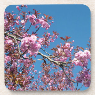 Posavasos Árboles florecientes de cerezo