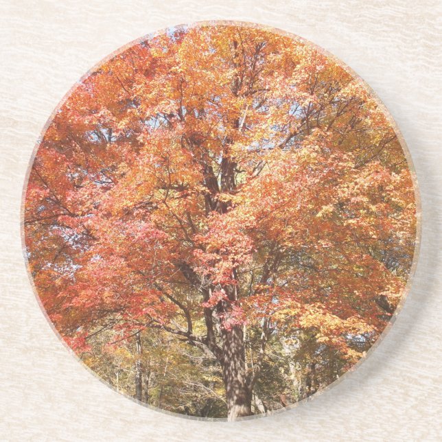 Posavasos Árboles naranjas (Frente)