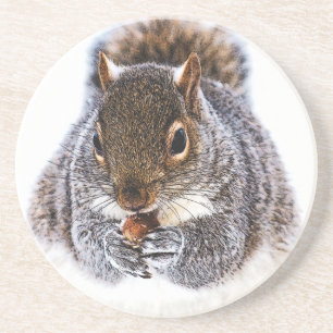 Posavasos Ardilla de comer