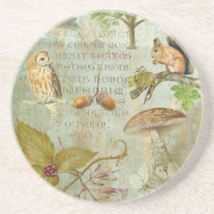 Posavasos ardilla de vida silvestre de bosques, búho, otoño
