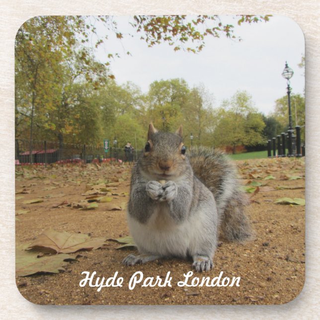 Posavasos Ardilla Gris Hyde Park Londres. (Frente)