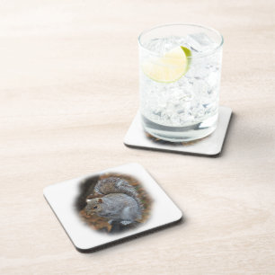 Posavasos ardilla gris oriental - Sciurus carolinensis