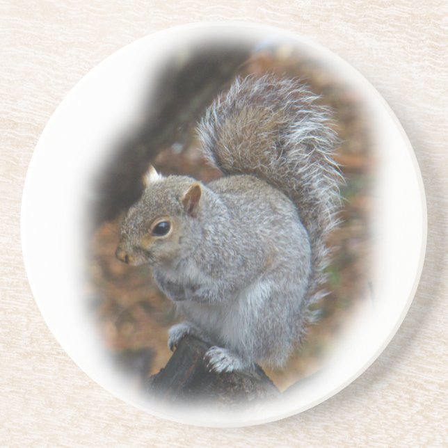 Posavasos ardilla gris oriental - Sciurus carolinensis (Frente)
