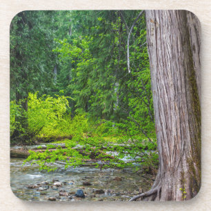 Posavasos Área escénica de los Cedros Ross Creek