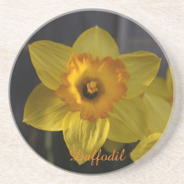 Posavasos Arenisca de Daffodil