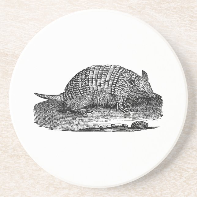 Posavasos Armadillos retros de la antigüedad del armadillo (Frente)