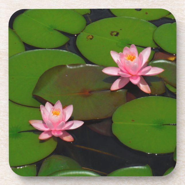 Posavasos Aroma de flores de lirio de loto rosa, (Frente)