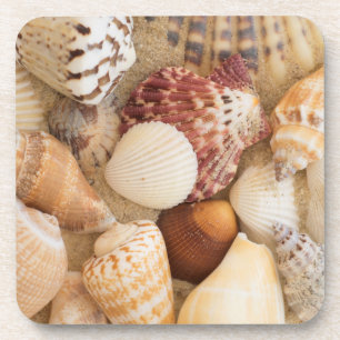 Posavasos Arreglo del Seashell