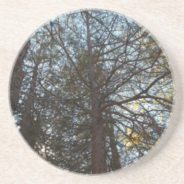 Posavasos Arriba por las ramas