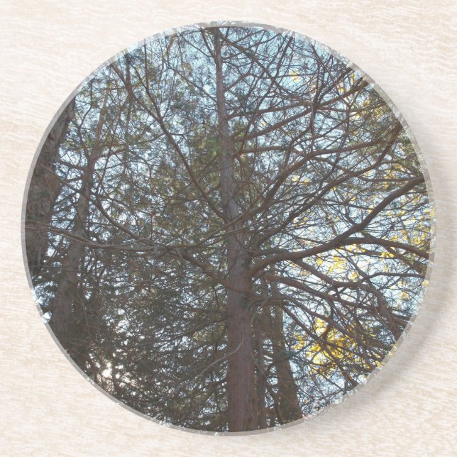 Posavasos Arriba por las ramas (Frente)