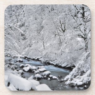 Posavasos Arroyo blanco nevado escénico, Oregon