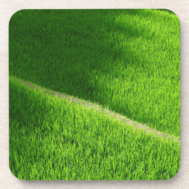 Posavasos Arroz con terrazas campos de arroz de Yamada Japón (Frente)