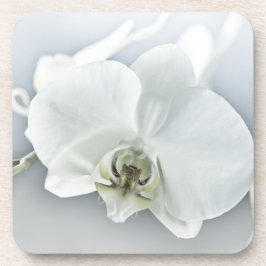 Posavasos Arte Botánico de Orquídea Blanca Elegante