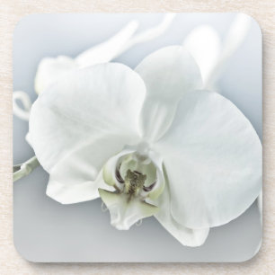 Posavasos Arte Botánico de Orquídea Blanca Elegante