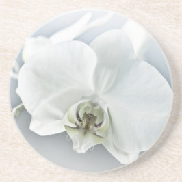 Posavasos Arte Botánico de Orquídea Blanca Elegante