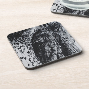 Posavasos Arte de animales de la jungla de vida silvestre as
