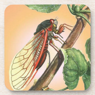 Posavasos Arte de Ilustracion de insectos Cicada