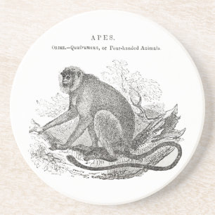 Posavasos Arte de mono de la década de 1800