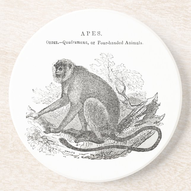Posavasos Arte de mono de la década de 1800 (Frente)