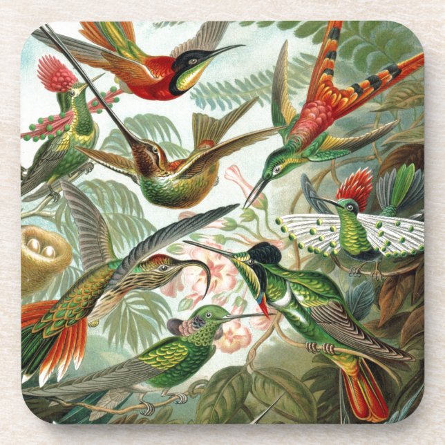 Posavasos Arte de Paraíso de las Aves (Frente)