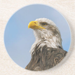 Posavasos Arte de retrato de vida silvestre de águila calva