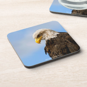 Posavasos Arte de retrato de vida silvestre de águila calva