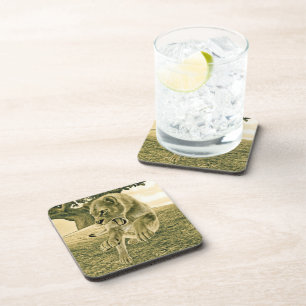 Posavasos Arte dramático de safari de fauna con leona