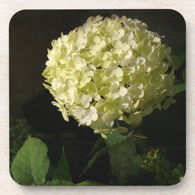 Posavasos Artful Annabelle Hydrangea Bloom (Frente)