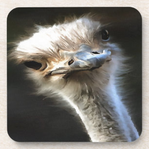 Posavasos Artistic Ostrich Portrait With Goofy Expression