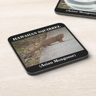 Posavasos Asera Plástica De La Ardilla Hawaiana (Mangosta As
