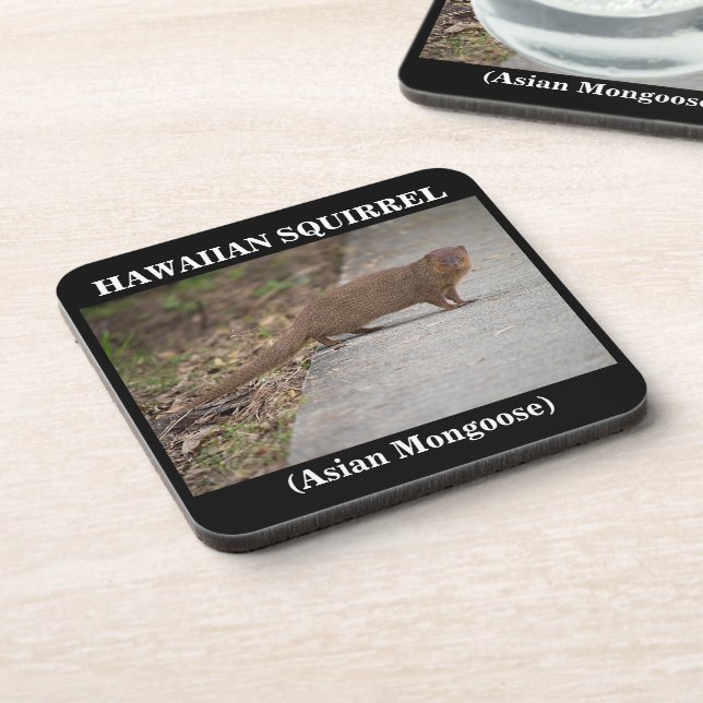 Posavasos Asera Plástica De La Ardilla Hawaiana (Mangosta As (Lado Izquierdo)