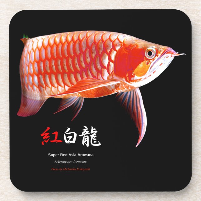Posavasos Asia Arowana の 優 良 製 品 (Frente)