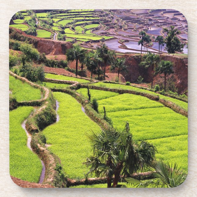 Posavasos Asia, China, Yunnan, Honghe.  Terrazas de arroz ce (Frente)