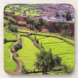 Posavasos Asia, China, Yunnan, Honghe. Terrazas de arroz cer