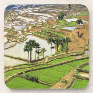 Posavasos Asia, China, Yunnan, Honghe. Terrazas de arroz cer