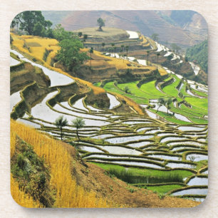 Posavasos Asia, China, Yunnan, Prefectura de Yuxi; Yuanjiang