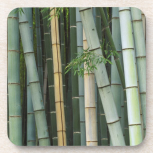 Posavasos Asia, Japón, Kyoto, Arashiyama, Sagano, Bambú