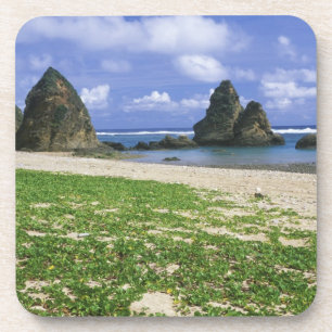 Posavasos Asia, Japón, Okinawa, costa de Yambaru, mar