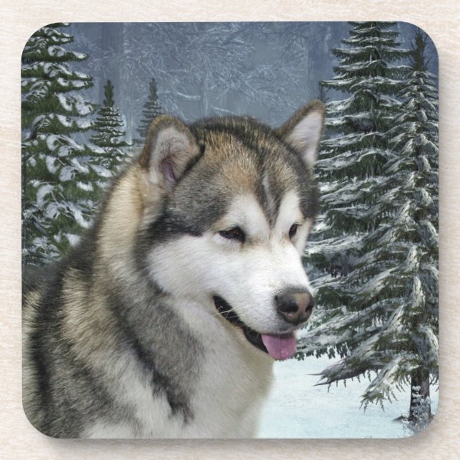 Posavasos Asistentes de Malamute de Alaskan (Frente)