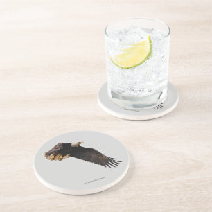 Posavasos Asombroso pájaro águila calva de presa en vuelo