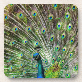 Posavasos Asombroso Peacock y plumas accesorios de fotografí
