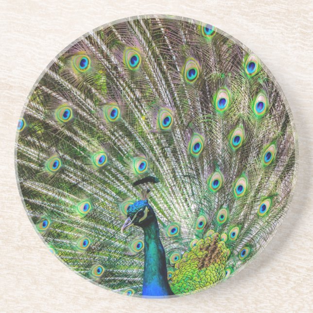 Posavasos Asombroso Peacock y plumas accesorios de fotografí (Frente)