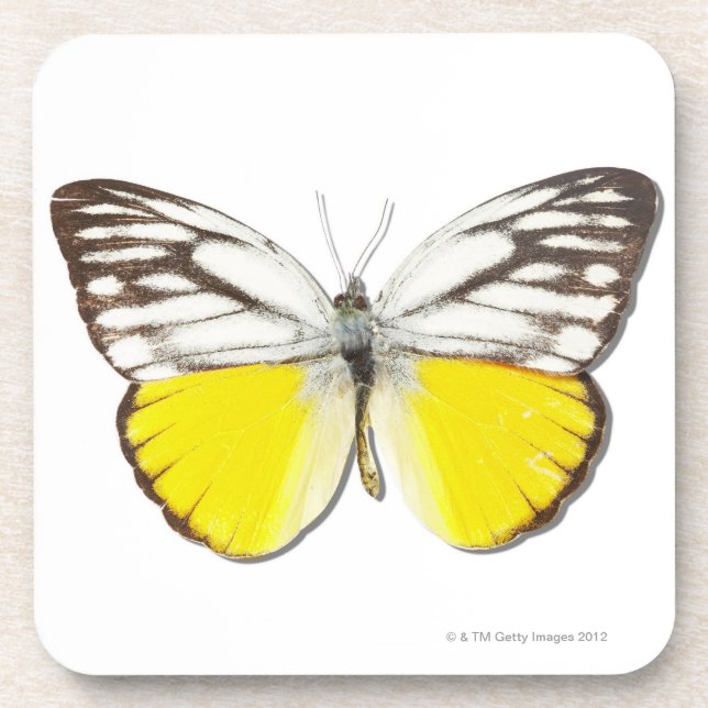 Posavasos Aspasia de Cepora (Frente)