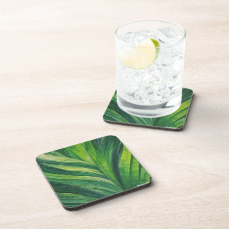 Posavasos aspecto natural