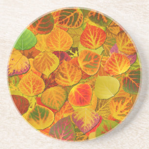 Posavasos Aspen Deja Collage Sólido Medley 1