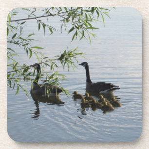 Posavasos Astillas de cocina de Geese silvestre - Conjunto d