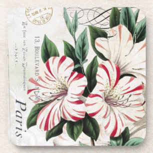 Posavasos Astilleras de Amarilis blancas y rojas