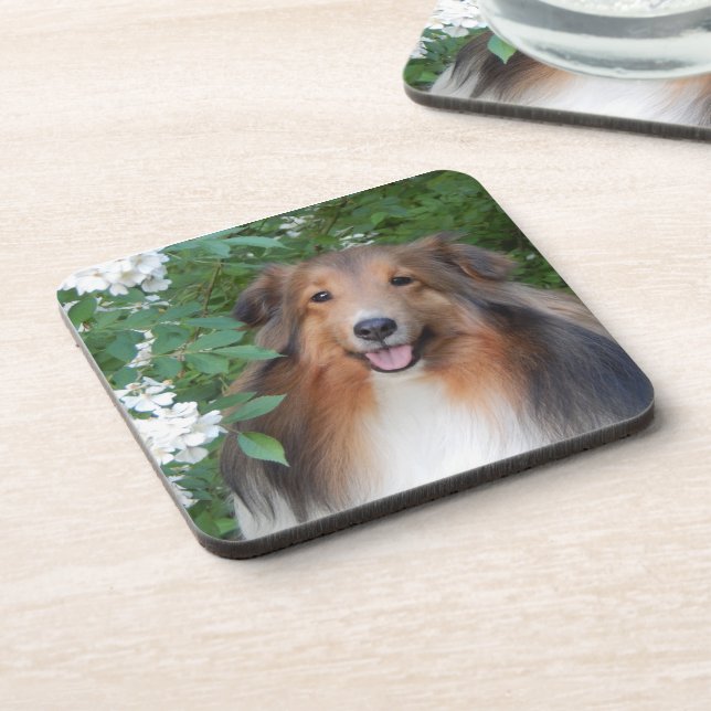 Posavasos Astilleros - conjunto de 6 - con Sheltie (Lado Izquierdo)