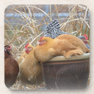 Posavasos Astras cutáneas de pollo