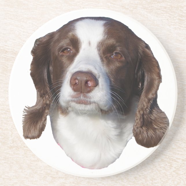 Posavasos Astras de arenisca de perro marrón y blanco (Frente)